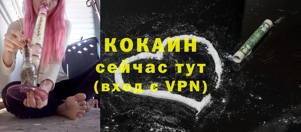 стаф Новодвинск