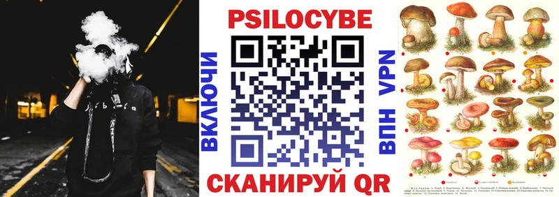 Псилоцибиновые грибы Psilocybe  Боровичи 